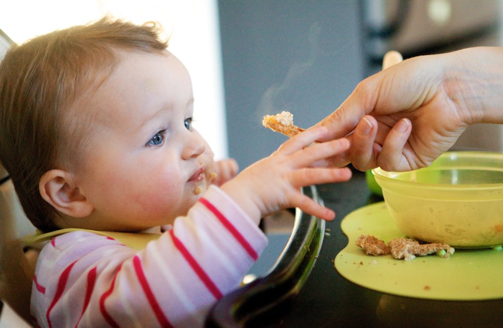 baby food lacking micro nutrients baby food lacking micro nutrients
