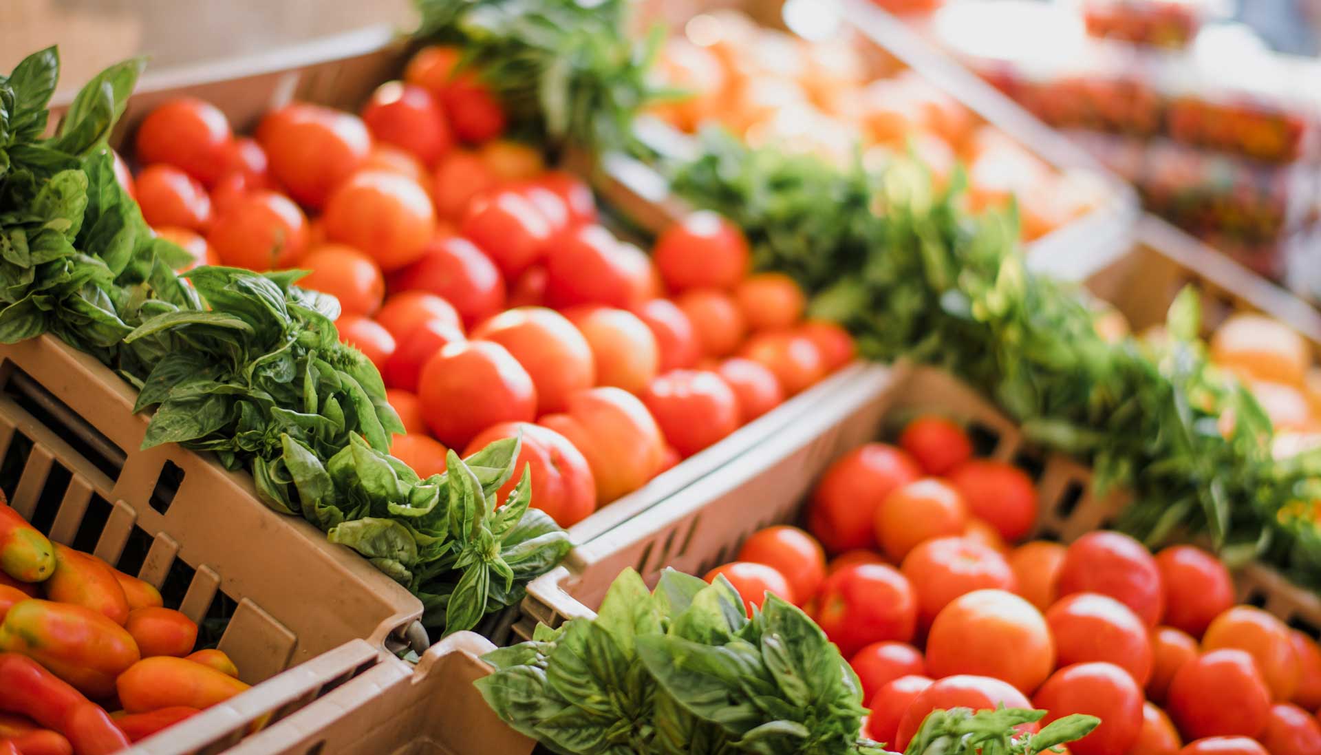 grocery-delivery-12
